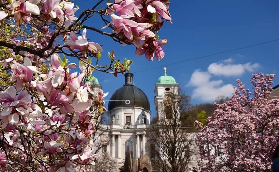 Hotel Vogelweiderhof Salzburg Exterior foto